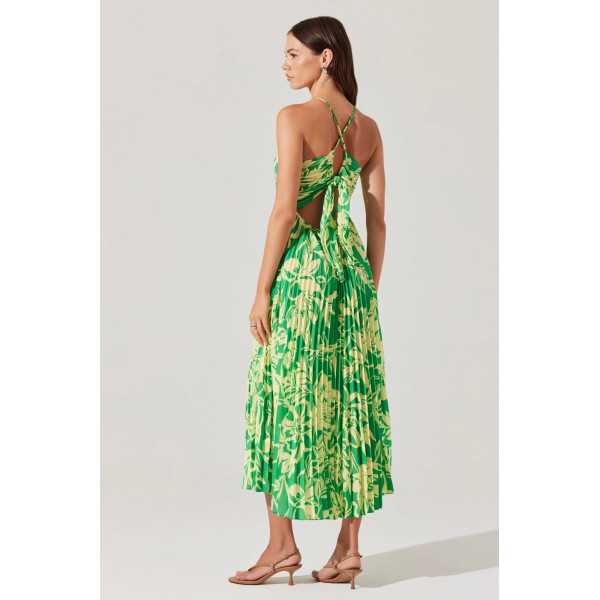 Omega Print Dress
